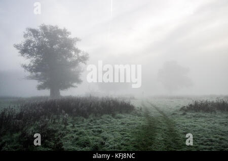 Dicke herbstlichen Nebel um Landschaft von Sussex in der Nähe von Shipley Stockfoto