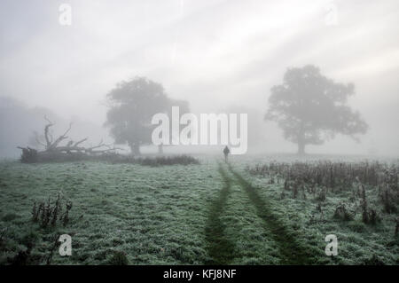 Dicke herbstlichen Nebel um Landschaft von Sussex in der Nähe von Shipley Stockfoto