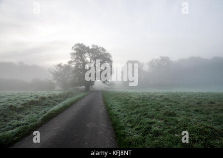 Dicke herbstlichen Nebel um Landschaft von Sussex in der Nähe von Shipley Stockfoto