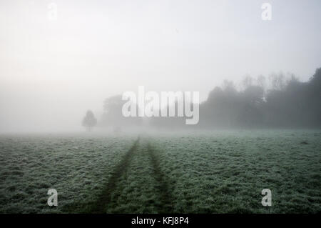 Dicke herbstlichen Nebel um Landschaft von Sussex in der Nähe von Shipley Stockfoto