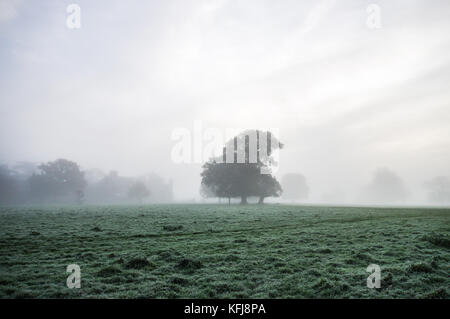 Dicke herbstlichen Nebel um Landschaft von Sussex in der Nähe von Shipley Stockfoto