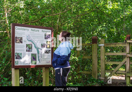 Lady lesen Cooildarry Natur Reserve Board Stockfoto