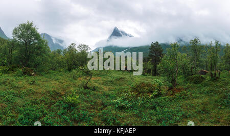 Berg im Nebel in das Tal Innerdalen Stockfoto