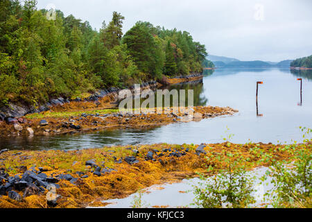 Felsigen Ufer eines ruhigen Bergsee im Herbst. Schöne Natur Norwegen. Reflexion auf dem Wasser Stockfoto