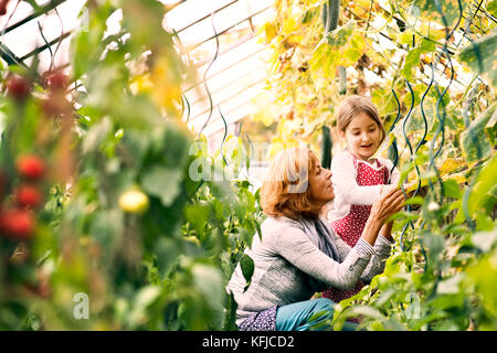 Ältere Frau mit Enkelin und Gärtnern im Garten im Hinterhof. Stockfoto