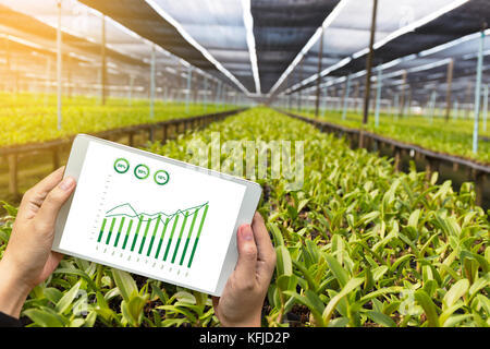 Landwirtschaft Technologie Konzept Mann Agronom mit einer Tablette in eine Landwirtschaft Feld lesen Sie einen Bericht Stockfoto