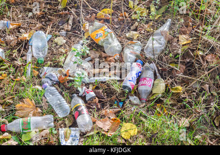 Leere Flaschen und Dosen trinken links Littering den Boden in die Landschaft. Stockfoto