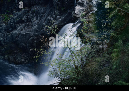 Wasserfall-Nahaufnahmen im Little Qualicum Falls Provincial Park, Vancouver Island, BC, Kanada Stockfoto