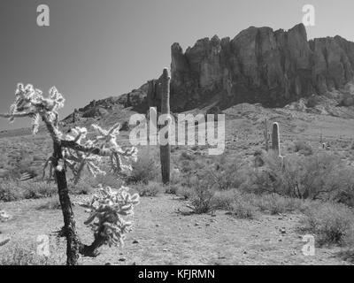 Arizona Wüste Szenen in Schwarz und Weiß östlich von Mesa, Arizona. Stockfoto