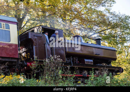 Die South Devon Railway ist eine Museumsbahn in Devon, England. Die Fahrzeuge erhalten auf der South Devon Railway l 92 Dampfmaschine, L 92, Dampf Stockfoto