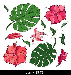 Tropische eingestellt. Blumen und Palmblättern. Hand gezeichnet Vector Illustration auf weißem Hintergrund Stock Vektor