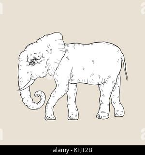 Elefant. Hand gezeichnet Vektor-illustration, weißer Hintergrund Stock Vektor
