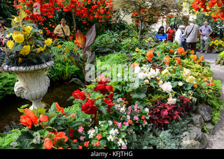 Blumenschmuck im Wintergarten in den Fitzroy Gardens in Melbourne, Victoria, Australien Stockfoto