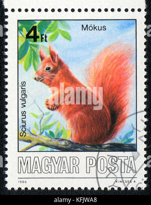 Eine Briefmarke in Magyar zeigt gedruckt Eichhörnchen sciurus vulgaris, ca. 1986 Stockfoto