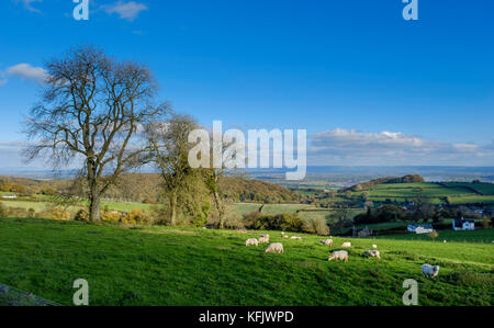 Blick auf den Fluss Severn von oben Newnham, Gloucestershire, England Großbritannien Stockfoto