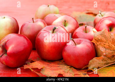 Menge reife rote Äpfel liegen auf einem Holztisch auf bunten Ahornblätter im Herbst Garten Stockfoto