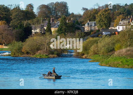 Lachsfischen auf dem River Tweed in Kelso, Scottish Borders, Scotland, Vereinigtes Königreich Stockfoto