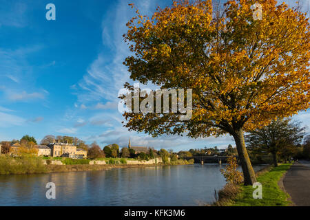 Blick auf den Fluss Tweed in Kelso an der schottischen Grenze, Schottland, Großbritannien Stockfoto