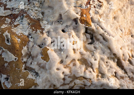 In der Nähe von Salz verkrusteten Rock, Totes Meer, Jordanien, Naher Osten Stockfoto