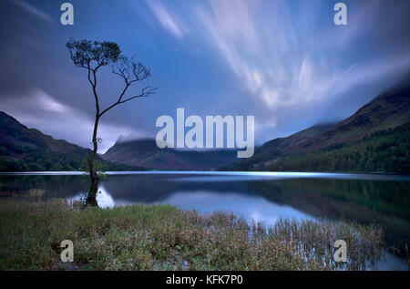 Ein einsamer Baum auf buttermere Lake, Lake District, Cumbria. England. Stockfoto
