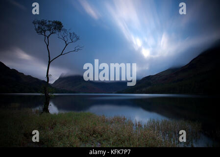 Ein einsamer Baum auf buttermere Lake, Lake District, Cumbria. England. Stockfoto
