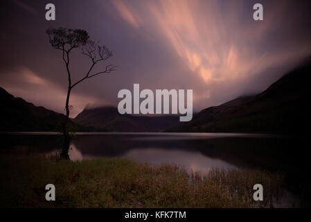Ein einsamer Baum auf buttermere Lake, Lake District, Cumbria. England. Stockfoto