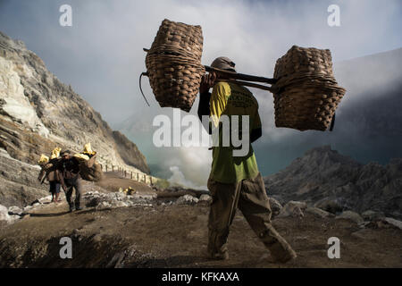 Schwefel Bergleute bei der Arbeit, Kawah Ijen, Ostjava, Indonesien. Stockfoto