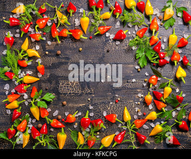 Blick von oben auf die Grenze Spice von Trocken- und hot chili peppers, Meersalz, verschiedenen Grünen auf Risse schwarzer Hintergrund Stockfoto