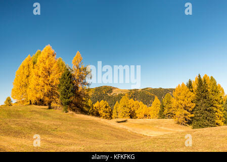 Blick über die herbstlichen Seiser Alm, Dolomiten, Südtirol, Italien Stockfoto