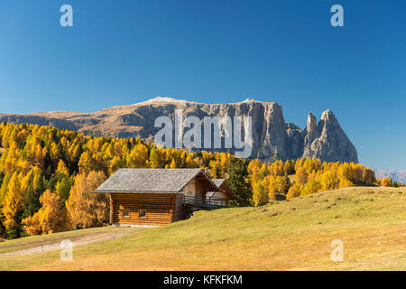 Herbstliche Seiser Alm Alm mit Blick auf den Schlern massiv, Berghütte, Schlern, Dolomiten, Südtirol, Italien Stockfoto