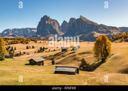 Blick über die herbstlichen Seiser Alm auf den Langkofel und Plattkofel, Almhütten, Dolomiten, Südtirol, Italien Stockfoto