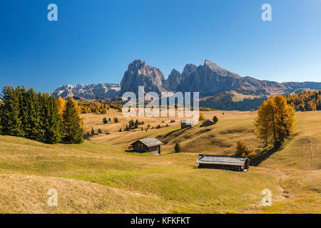 Blick über die herbstlichen Seiser Alm auf den Langkofel und Plattkofel, Almhütten, Dolomiten, Südtirol, Italien Stockfoto