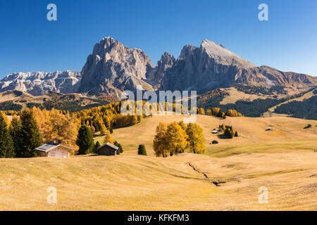 Blick über die herbstlichen Seiser Alm auf den Langkofel und Plattkofel, Almhütten, Dolomiten, Südtirol, Italien Stockfoto