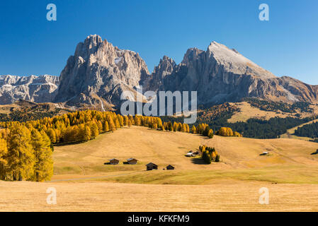 Blick über die herbstlichen Seiser Alm auf den Langkofel und Plattkofel, Almhütten, Dolomiten, Südtirol, Italien Stockfoto