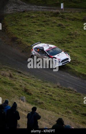 Uk. 29 Okt, 2017. haarige Moment für eine WM2 Team als Sie konkurrieren, während der See brenig Etappe der Rallye gb Runde der FIA World Rally Championship 2017 in Wales. Credit: Hugh Peterswald/Pacific Press/alamy leben Nachrichten Stockfoto