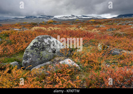 Farbenprächtige Herbstlandschaft auf dem Saltfjellet, Plateau am Polarkreis in der Nähe der Stadt Mo i Rana, Norwegen Stockfoto