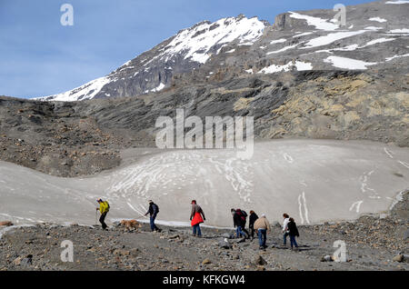 Wanderer auf dem Athabasca Glacier, Jasper National Park Stockfoto