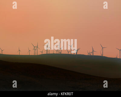 Windpark bei Sonnenuntergang im Staat Washington. Stockfoto