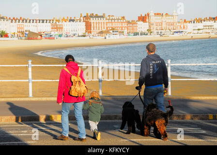 Weymouth, Großbritannien. 30 Okt, 2017. de Wetter. einen sonnigen, aber kalten Start in den Tag in Weymouth und die Menschen können ihre Hunde Übung am Strand wieder, jetzt wo die Weihnachtszeit ist über Credit: stuart Hartmut Ost/alamy leben Nachrichten Stockfoto