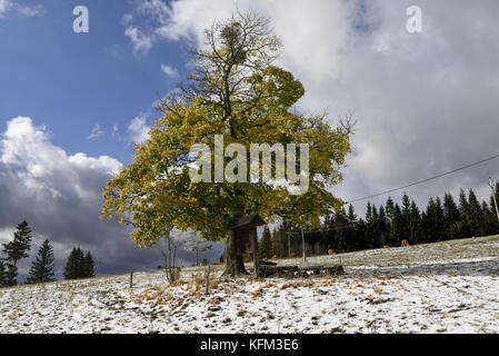 Stare Hamry, Tschechische Republik. 30. Oktober 2017. Der erste Schnee in diesem Jahr erscheint in Mährisch-Schlesischen Beskiden am Montag, dem 30. Oktober 2017. Quelle: Drahoslav Ramik/CTK Photo/Alamy Live News Stockfoto