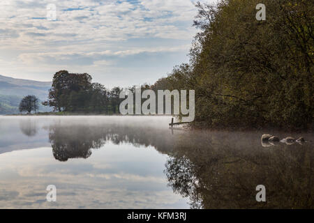 Einen kalten herbstlichen Morgen, Nebel und driftet in eine ruhige Aussicht am Llyn Tegid/Bala Lake im Norden von Wales. Stockfoto