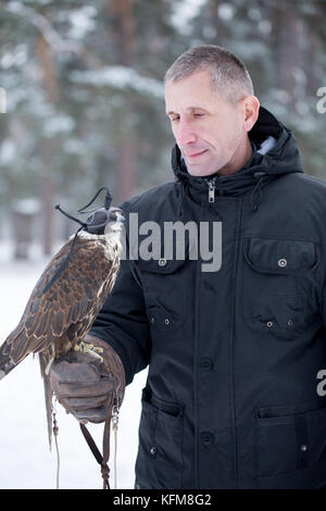 Mann mit einem Falcon Stockfoto