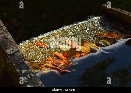 Dunstige Sommer Sonne Halos eine Bronze Kruzifix. Stockfoto