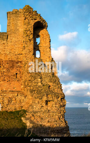 East Lothian, Schottland, Großbritannien. Warme niedrige Dämmerung Sonnenlicht auf Vorhangfassade des 14.Jahrhunderts ruiniert Tantallon Castle, Klippe in Firth von weiter in der Nähe von North Berwick Stockfoto