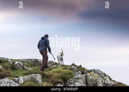 Hundespaziergängen - ein Mann, der mit seinem Hund auf dem Land läuft. Stockfoto