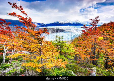 Patagonien, Chile - Grey Gletscher ist ein Gletscher in der südlichen patagonischen Eisfeld auf Cordillera del Paine Stockfoto