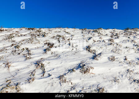 Schnee Winter Stockfoto