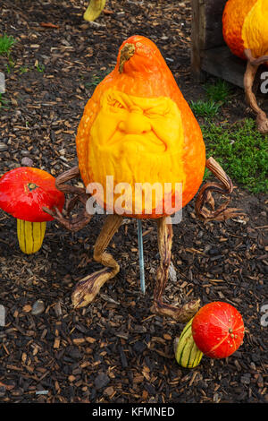Jack-o-Laterne Kürbis für Halloween vorbereitet Stockfoto