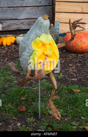 Jack-o-Laterne Kürbis für Halloween vorbereitet Stockfoto