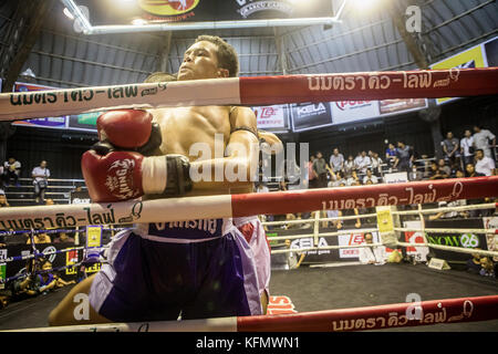 Jungs, Muay Thai Boxer kämpfen, Bangkok, Thailand Stockfoto